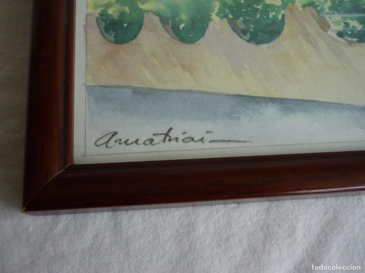 Arte: Acuarela enmarcada y firmada Don Algod&oacute;n - Foto 3