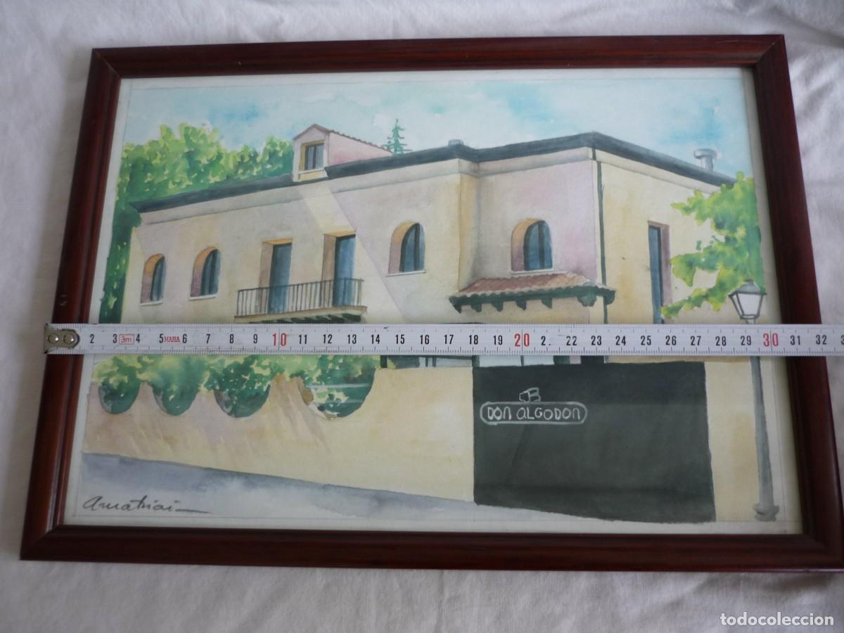 Arte: Acuarela enmarcada y firmada Don Algod&oacute;n - Foto 4