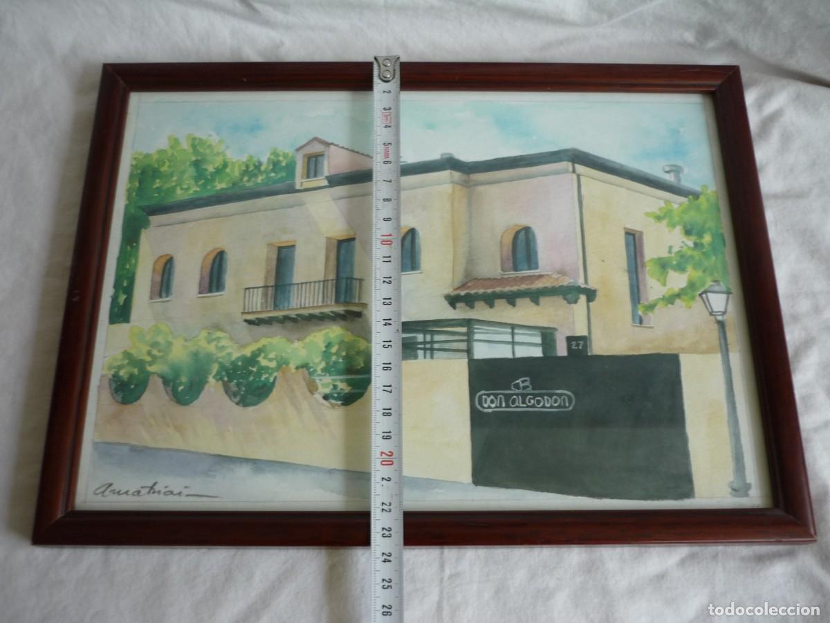 Arte: Acuarela enmarcada y firmada Don Algod&oacute;n - Foto 5