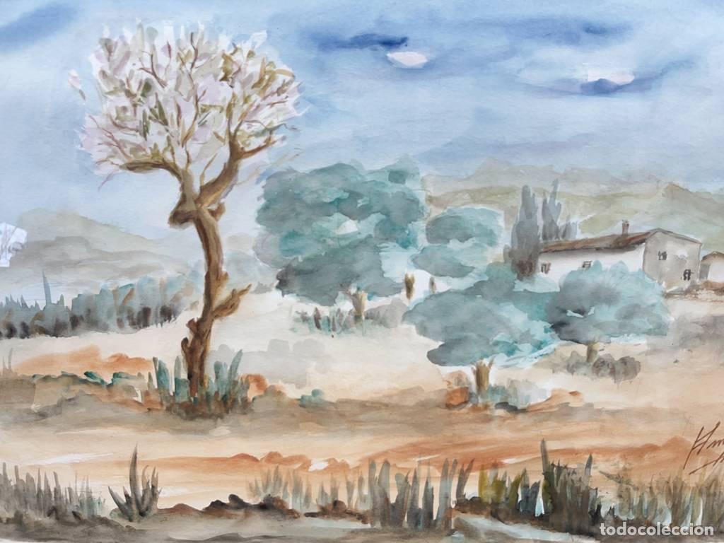 Arte: CUADRO PINTADO EN ACUARELA - Foto 2