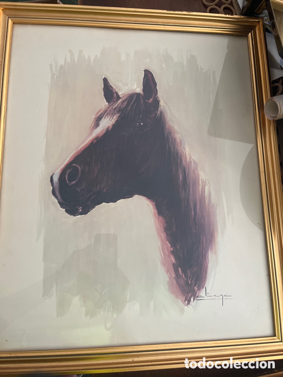 Arte: Cuadro Caballo Carlos Aliaga - Foto 1