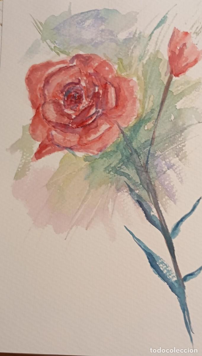 Arte: Rosa. Acuarela en papel Canson - Foto 1