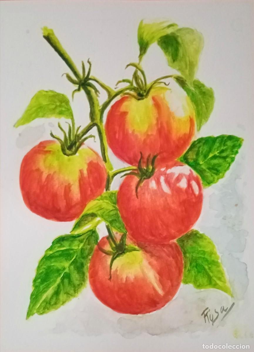Arte: Rama de tomates acuarela - Foto 1
