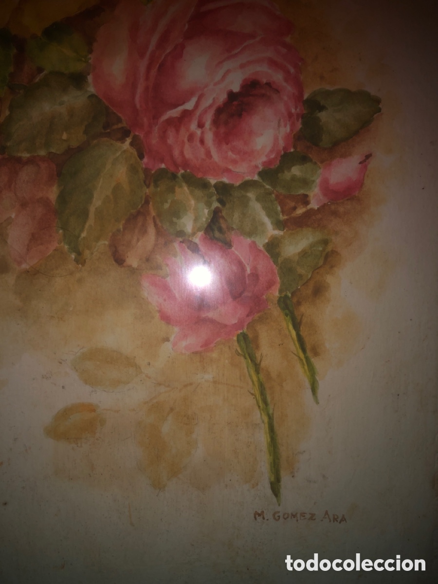 Arte: G&oacute;mez Ara (acuarela bodeg&oacute;n ) - Foto 7