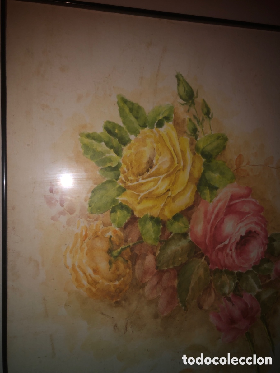 Arte: G&oacute;mez Ara (acuarela bodeg&oacute;n ) - Foto 4