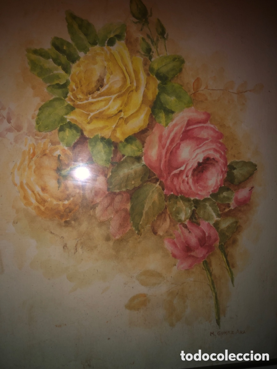 Arte: G&oacute;mez Ara (acuarela bodeg&oacute;n ) - Foto 5