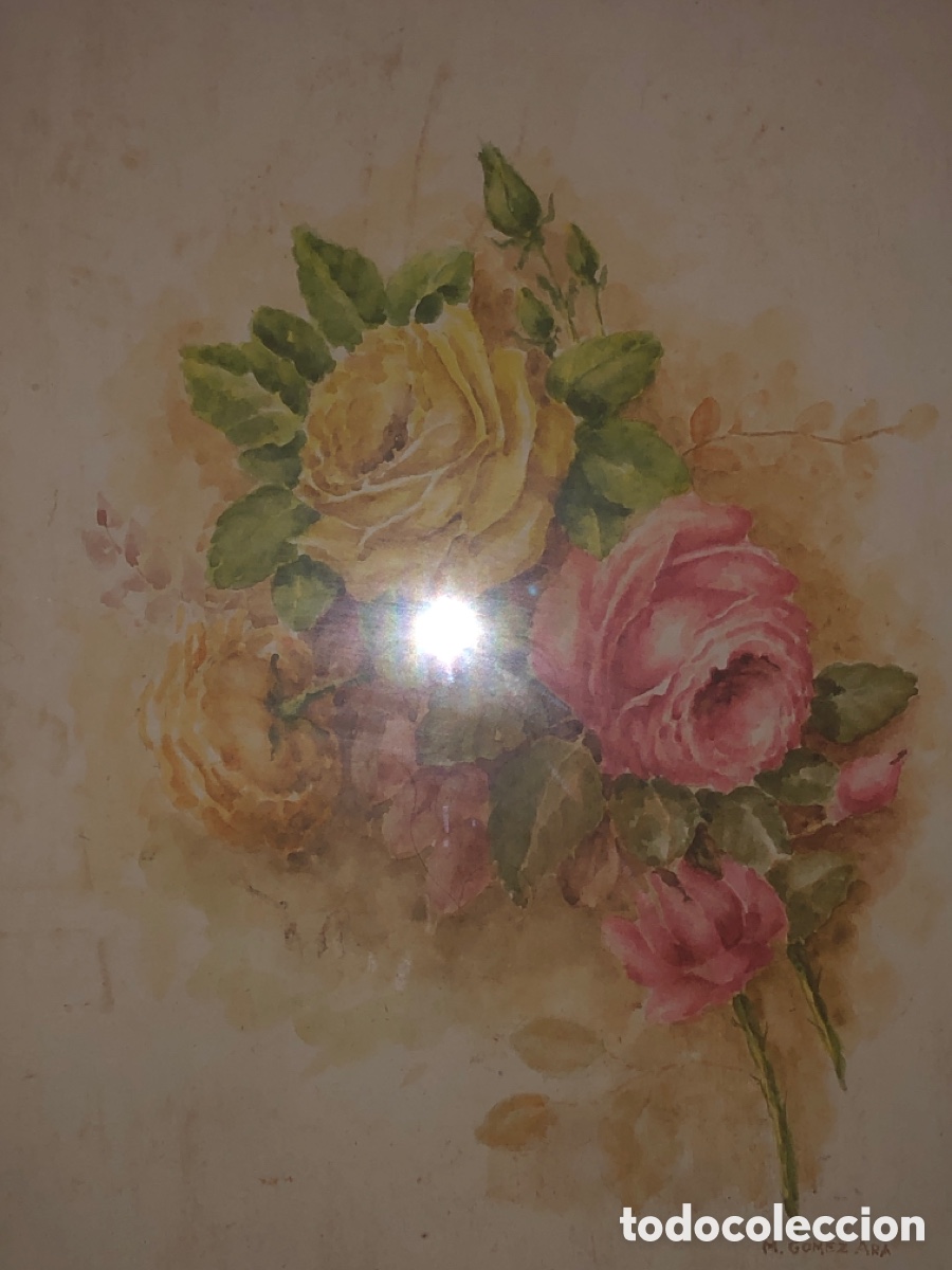 Arte: G&oacute;mez Ara (acuarela bodeg&oacute;n ) - Foto 9