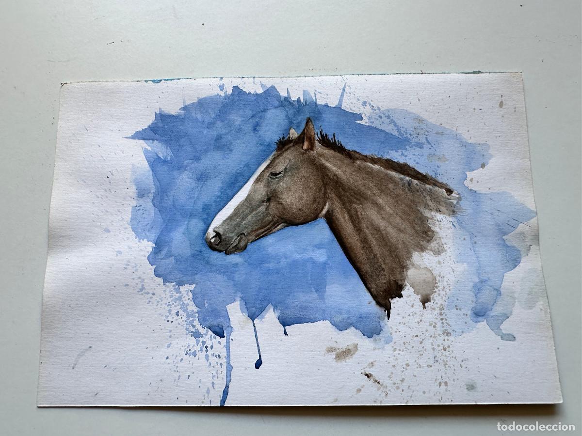 Arte: ACUARELA DE CABEZA DE CABALLO - Foto 1