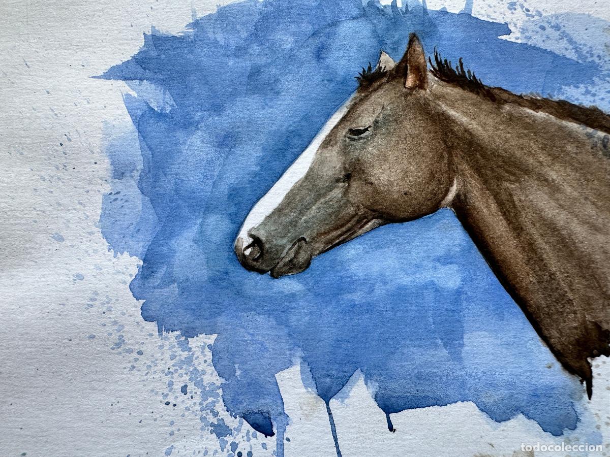 Arte: ACUARELA DE CABEZA DE CABALLO - Foto 2