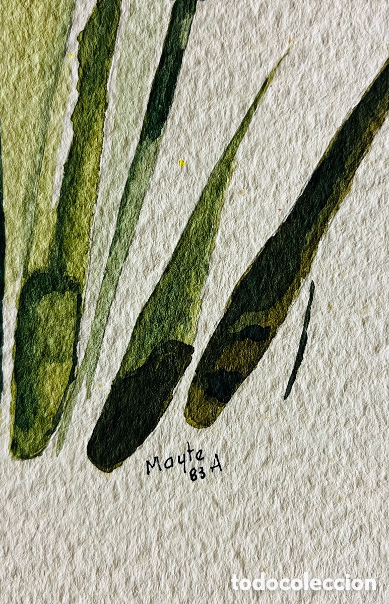 Arte: MAYTE ALBESA. Acuarelas - Foto 2