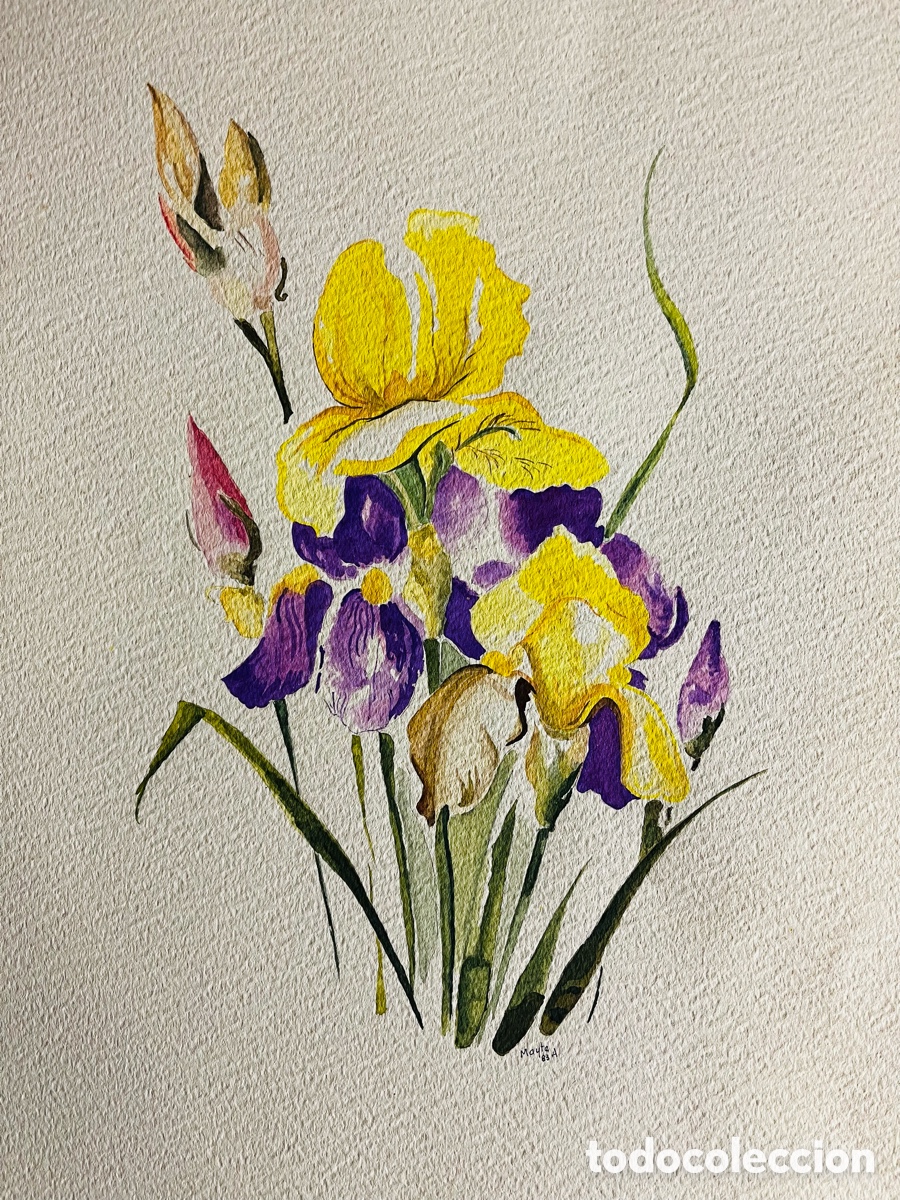 Arte: MAYTE ALBESA. Acuarelas - Foto 1