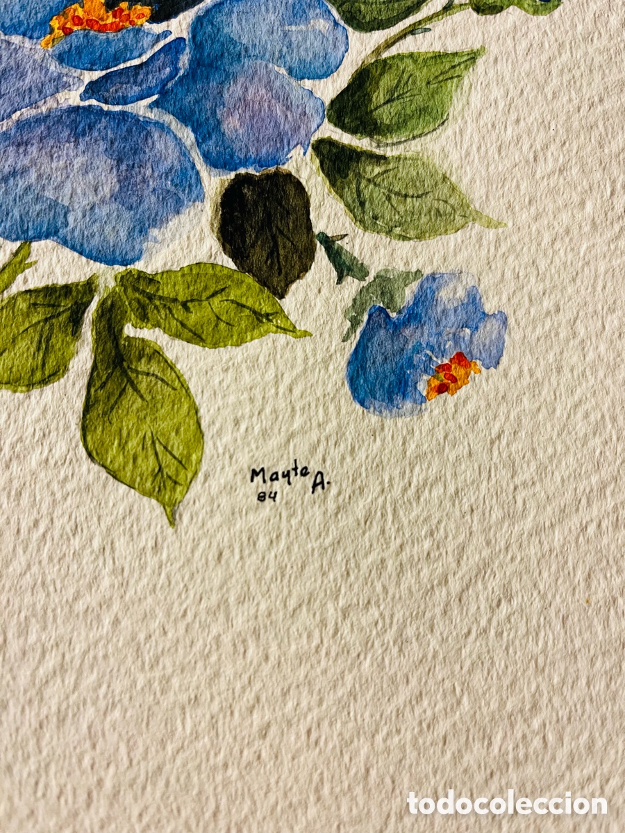 Arte: MAYTE ALBESA. Acuarelas - Foto 2