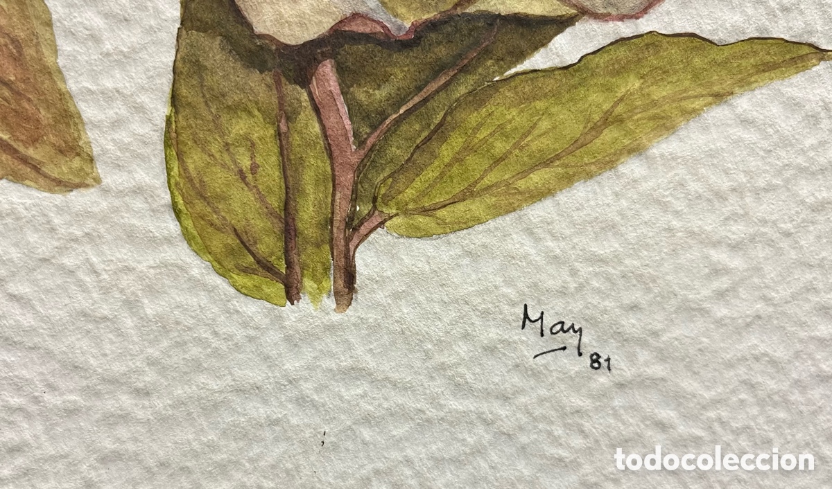 Arte: MAYTE ALBESA. Acuarelas - Foto 2