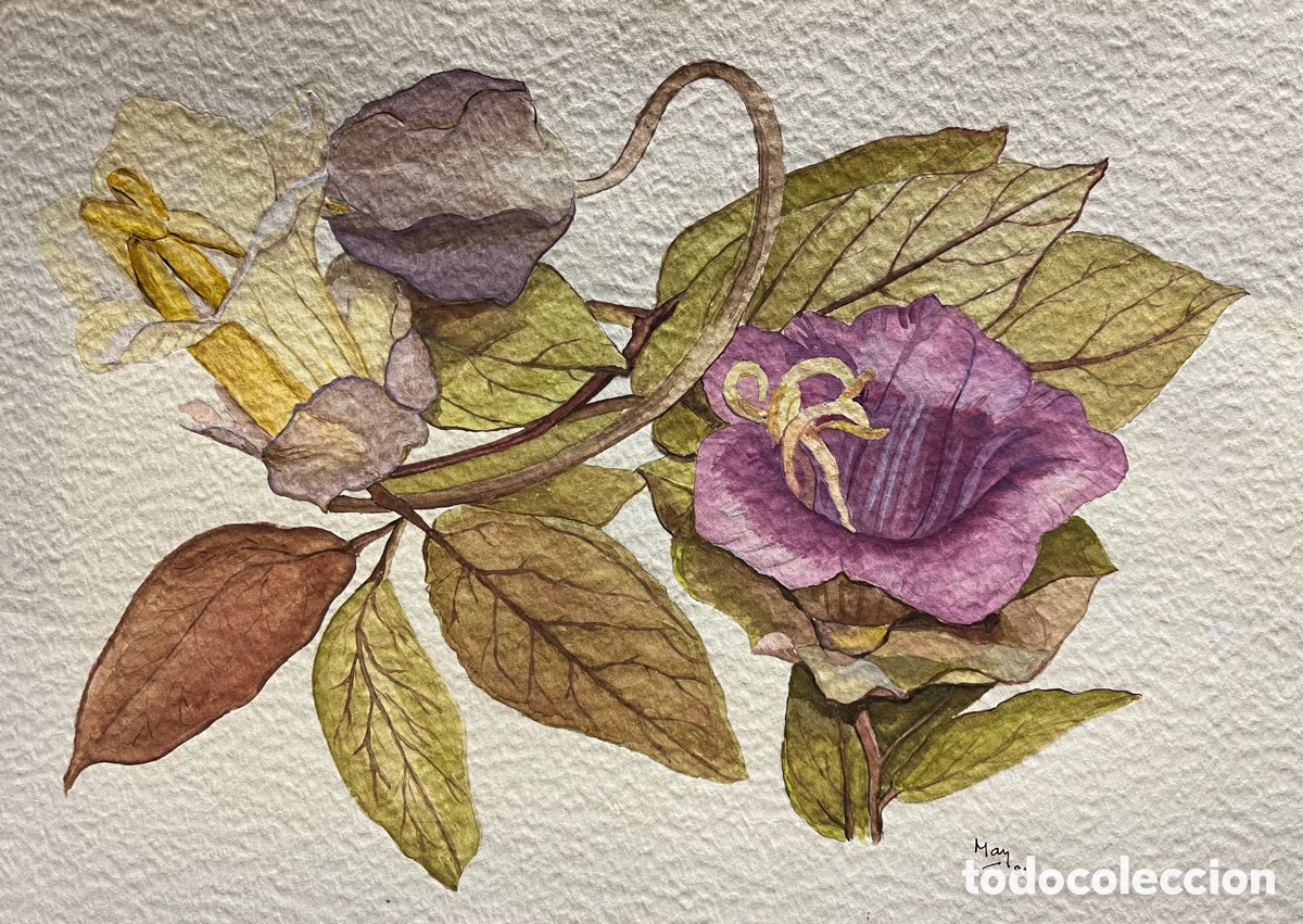 Arte: MAYTE ALBESA. Acuarelas - Foto 1