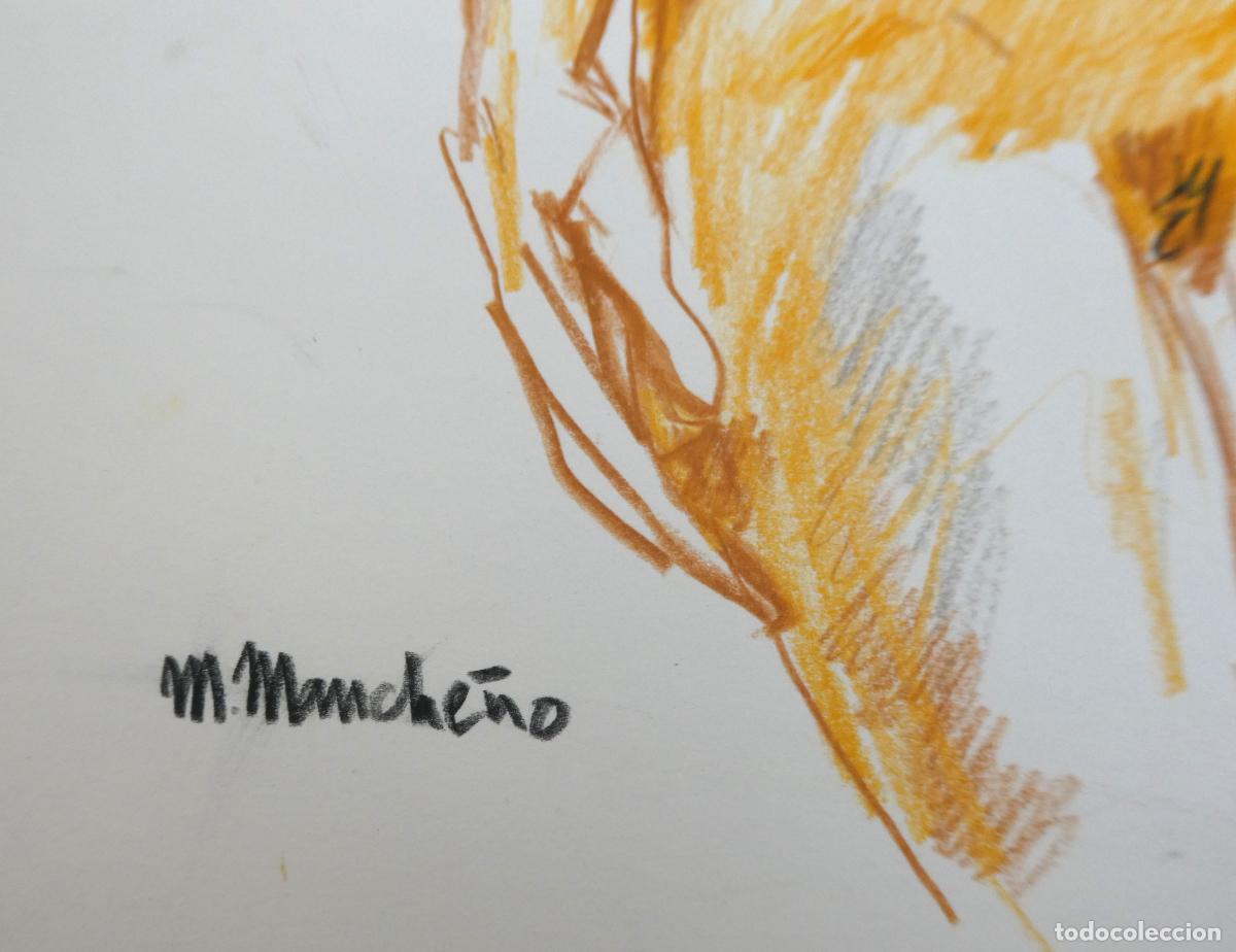 Arte: Acuarela de M. Manche&ntilde;o . - Foto 2