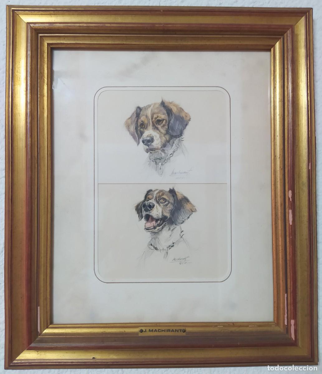 Arte: 2 ACUARELAS DE J. MACHIRANT (&ldquo;SIN T&Iacute;TULO, PERRO&rdquo;) - Foto 2