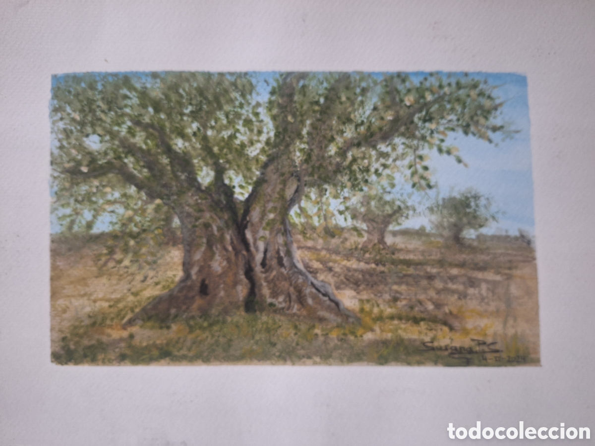 Arte: Acuarela Original de Olivo - Foto 2