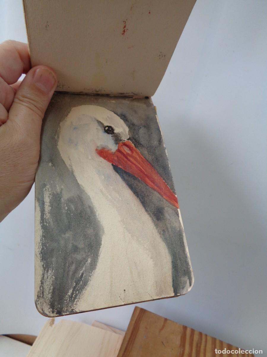 Arte: &iexcl;&iexcl; CUADERNO d Un NATURALISTA &rdquo;Campo&rdquo;. AVES - (Animales). PINTURA ACUARELA. A&ntilde;o.-(1930). !! C-20.