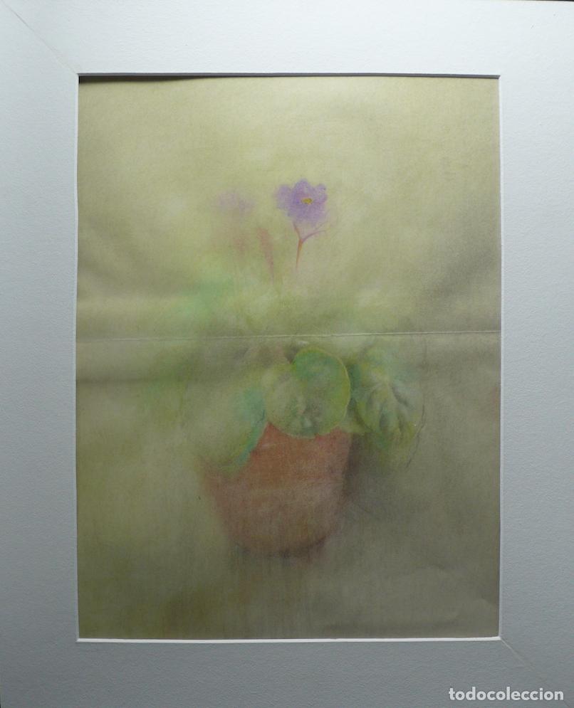 Arte: PINTURA BODEGON ACUARELA - Foto 1