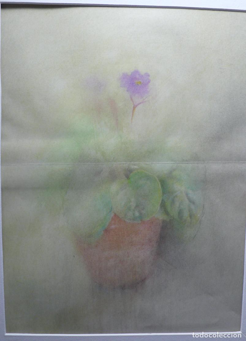 Arte: PINTURA BODEGON ACUARELA - Foto 2