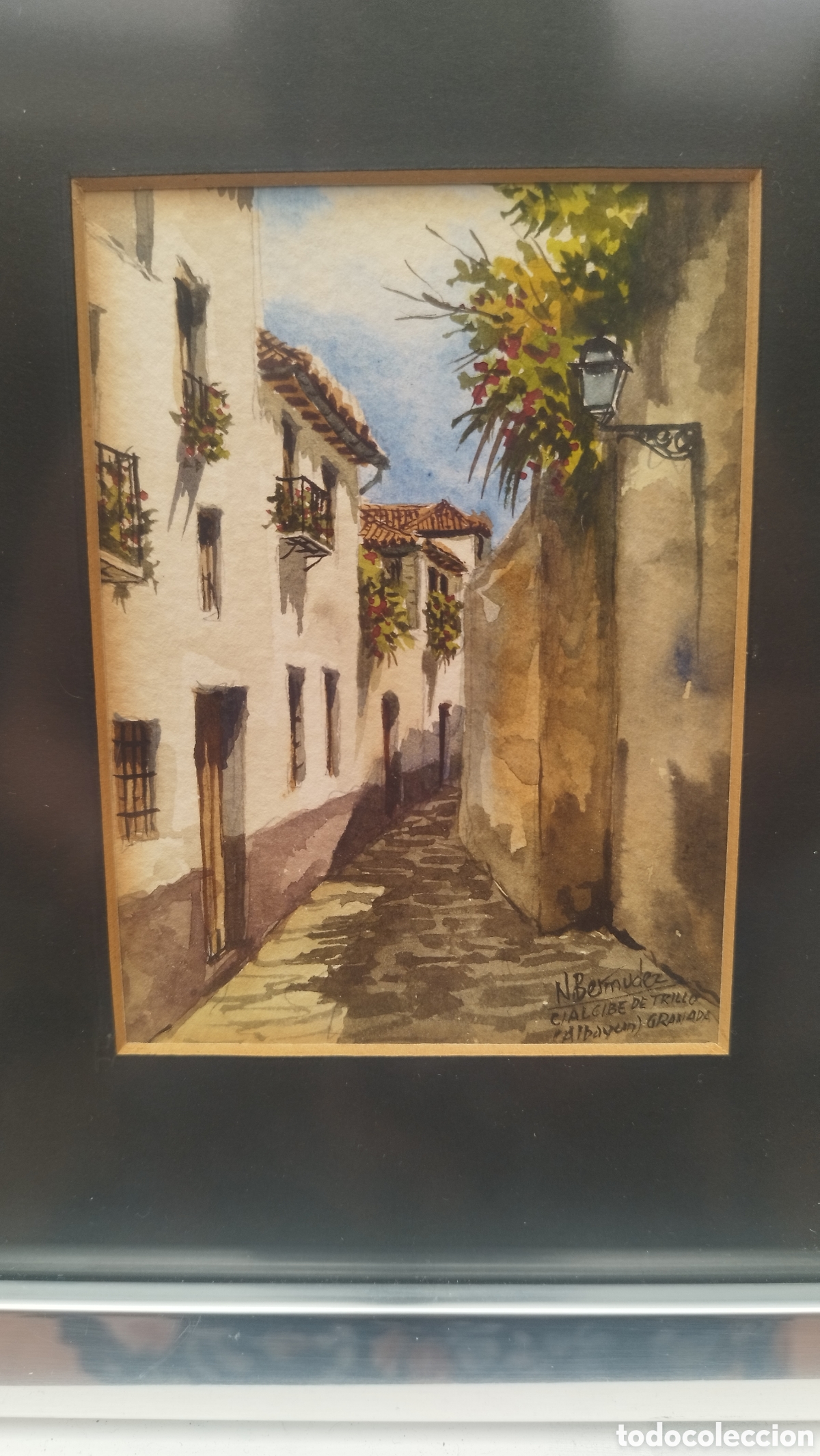 Arte: Acuarela Nicol&aacute;s Berm&uacute;dez - Foto 4