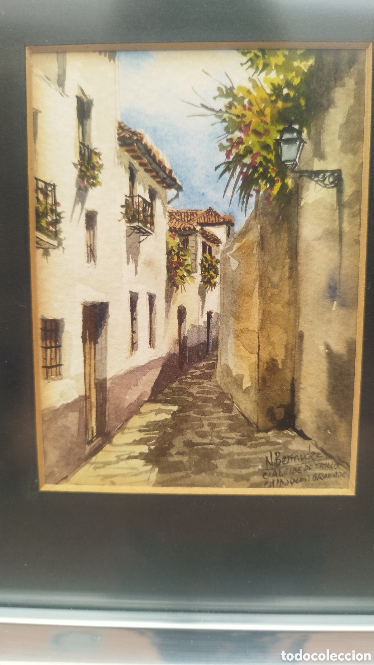 Arte: Acuarela Nicol&aacute;s Berm&uacute;dez - Foto 1