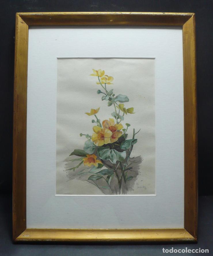 Arte: DIBUJO ORIGINAL ACUARELA - Foto 1