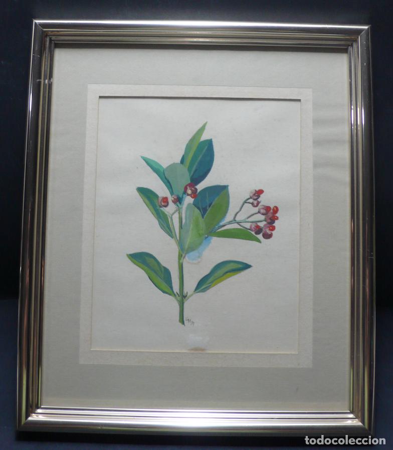 Arte: DIBUJO ORIGINAL ACUARELA - Foto 1
