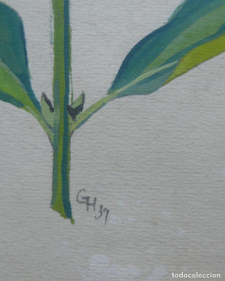 Arte: DIBUJO ORIGINAL ACUARELA - Foto 3