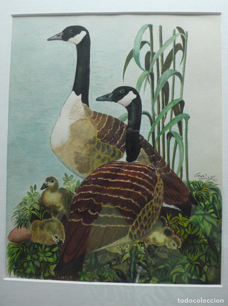 Arte: DIBUJO ORIGINAL ACUARELA - Foto 2