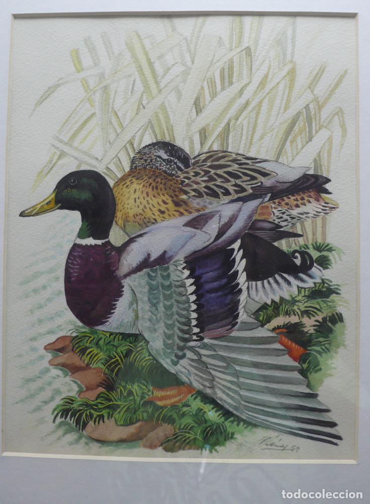 Arte: DIBUJO ORIGINAL ACUARELA - Foto 2