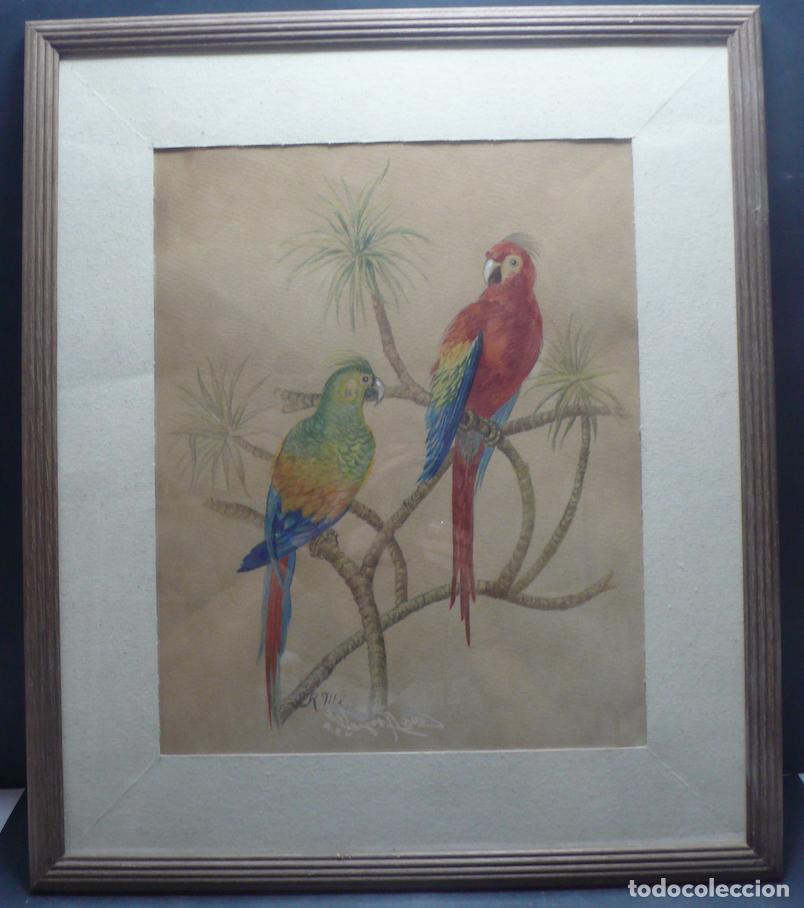 Arte: DIBUJO ORIGINAL ACUARELA - Foto 1