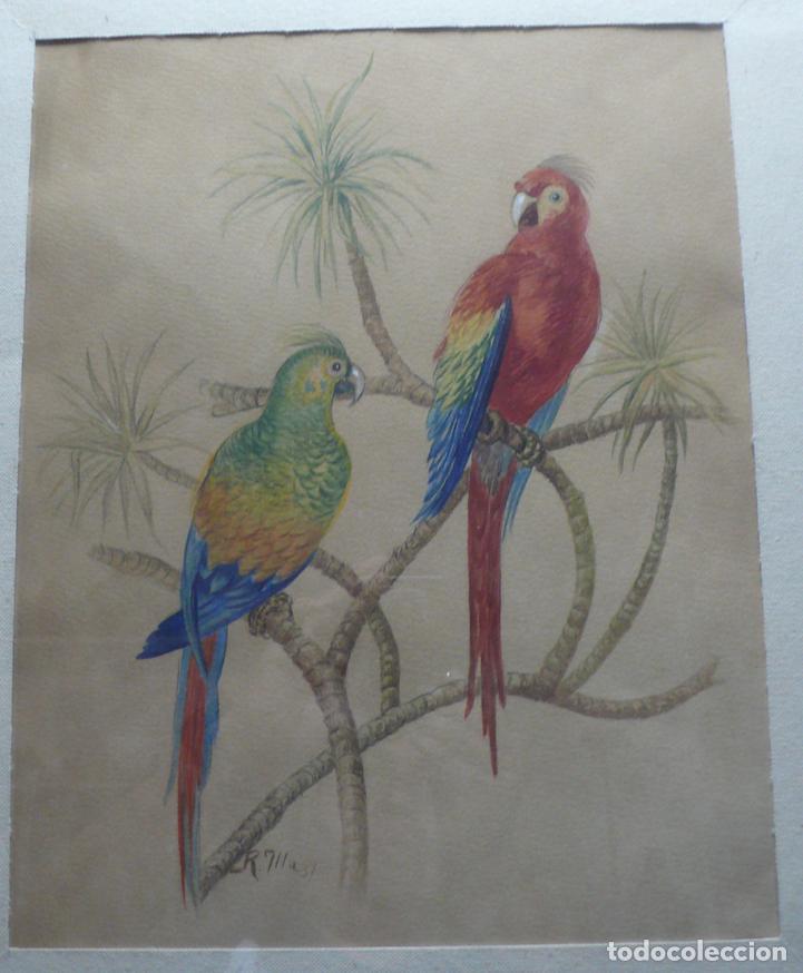 Arte: DIBUJO ORIGINAL ACUARELA - Foto 2