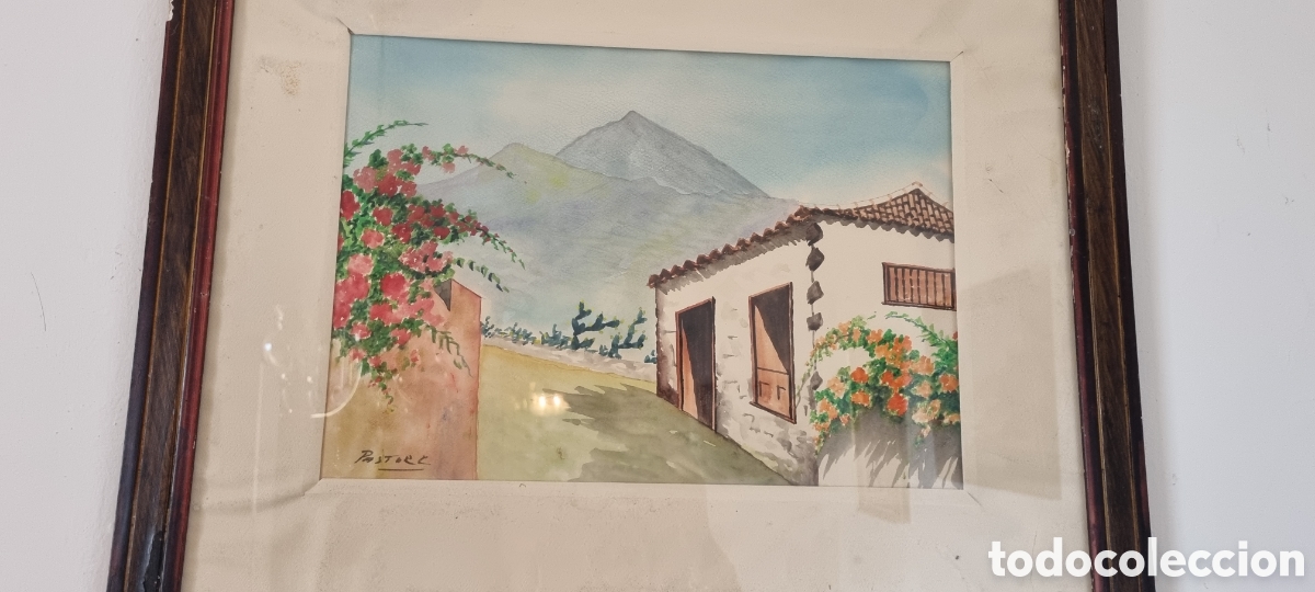 Arte: Acuarelas Pastor Cabrera - Foto 1