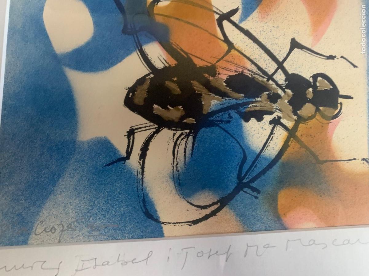 Arte: Cuadro Mosca de Girona dedicado - Foto 4