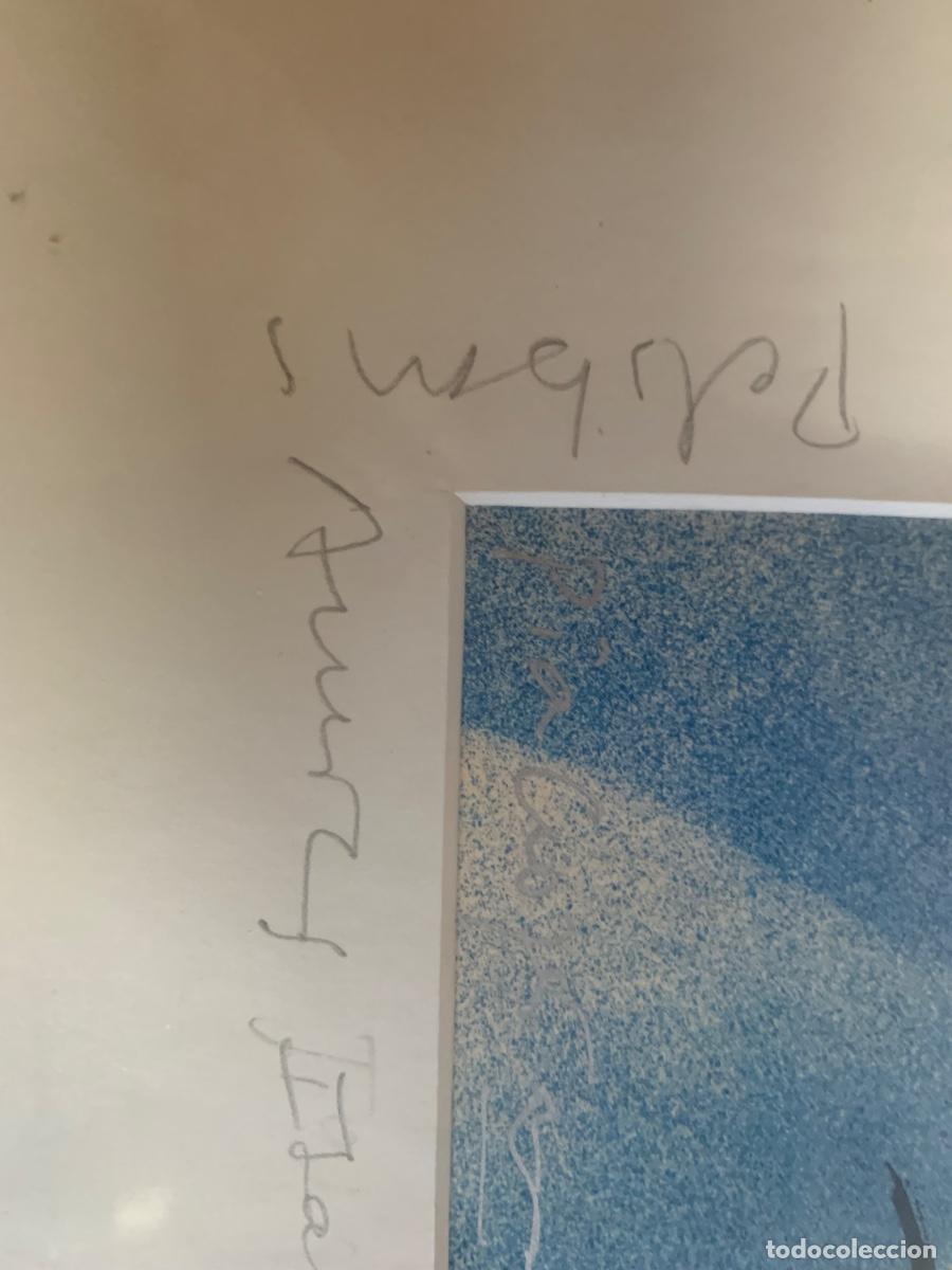 Arte: Cuadro Mosca de Girona dedicado - Foto 6