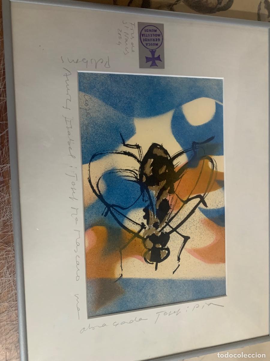 Arte: Cuadro Mosca de Girona dedicado - Foto 9