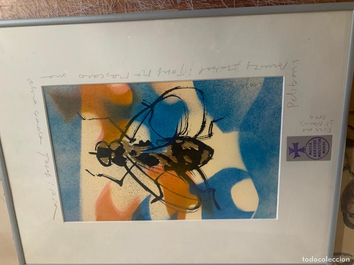 Arte: Cuadro Mosca de Girona dedicado - Foto 1
