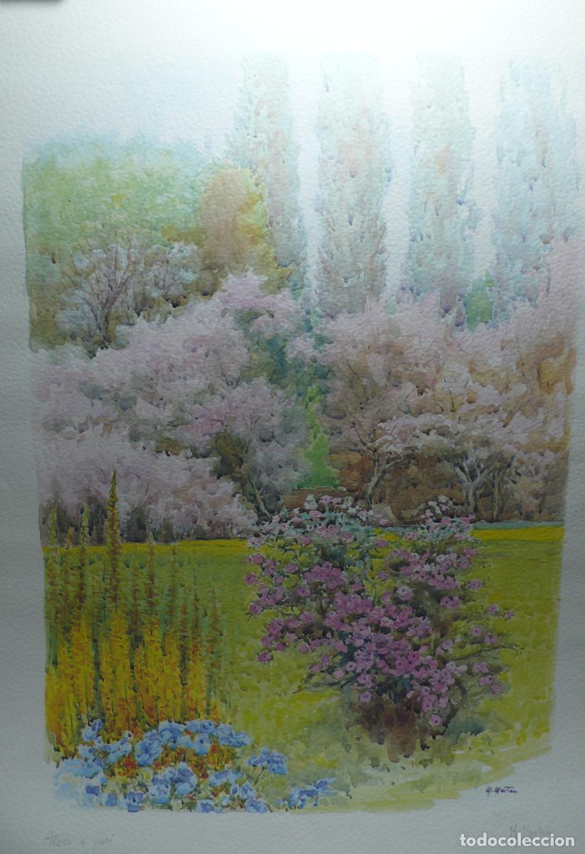 Arte: DIBUJO ORIGINAL ACUARELA - Foto 2