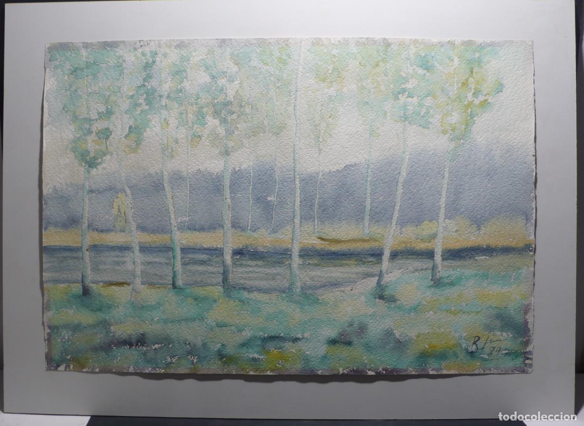 Arte: DIBUJO ORIGINAL ACUARELA - Foto 1