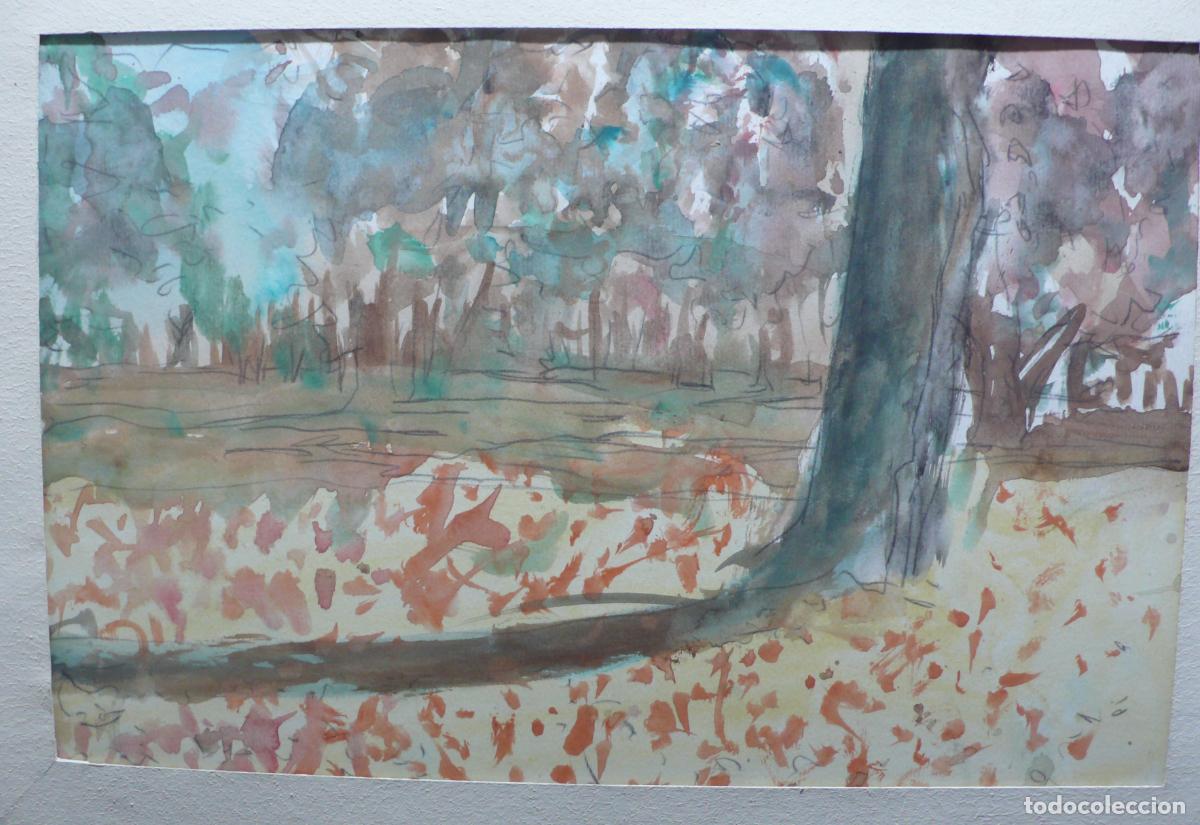 Arte: DIBUJO ORIGINAL ACUARELA - Foto 2