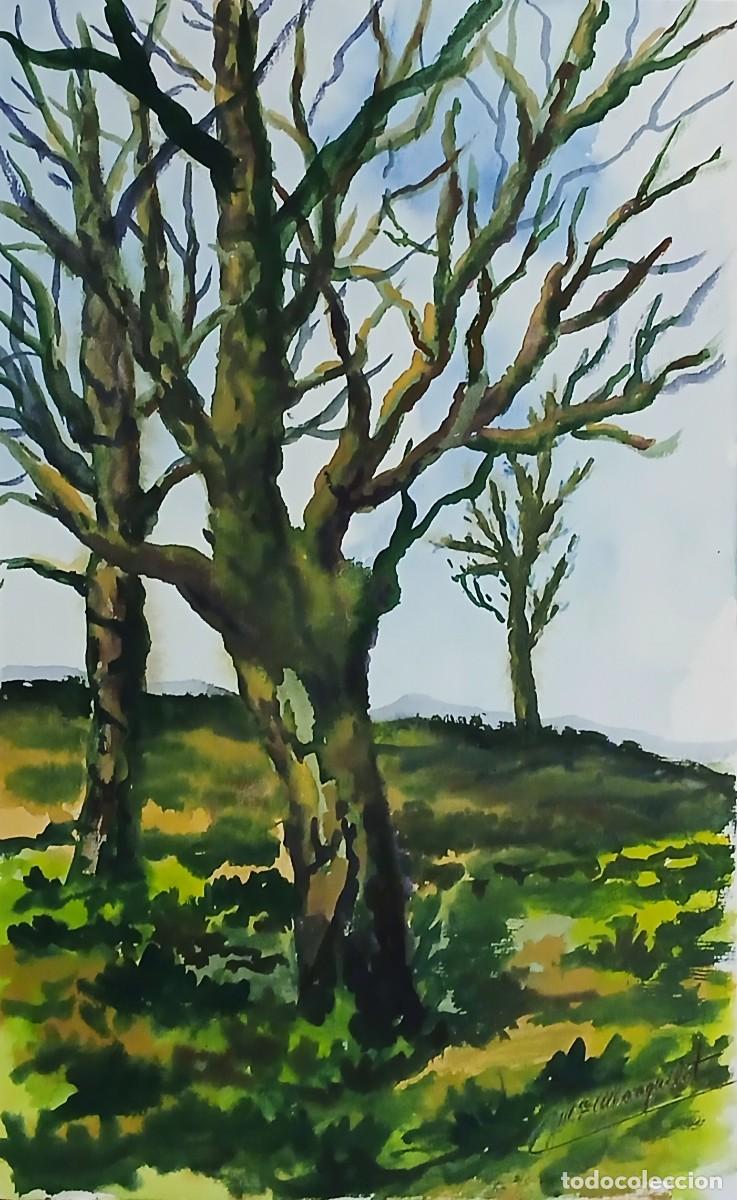 Arte: Acuarela del pintor de Navarra Monguilot - Foto 1