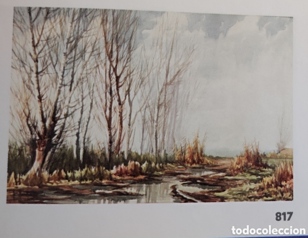 Arte: Ram&oacute;n Miralles Bosca. - Foto 2