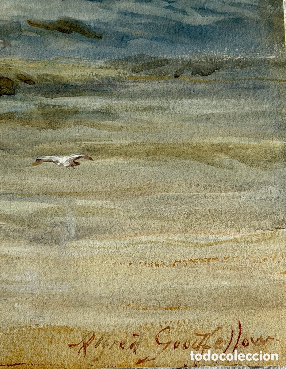 Arte: Acuarela alfred Goodfellow - Foto 15