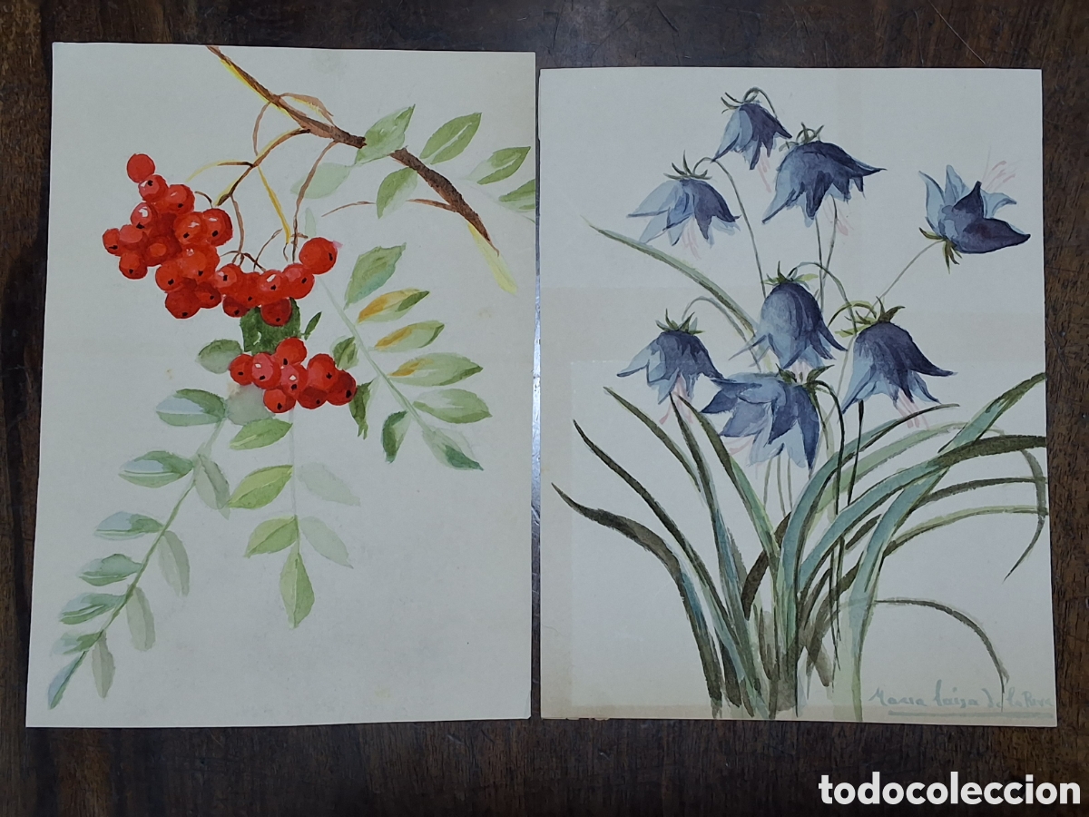Arte: Maria Luisa de la Riva. Flores. - Foto 1