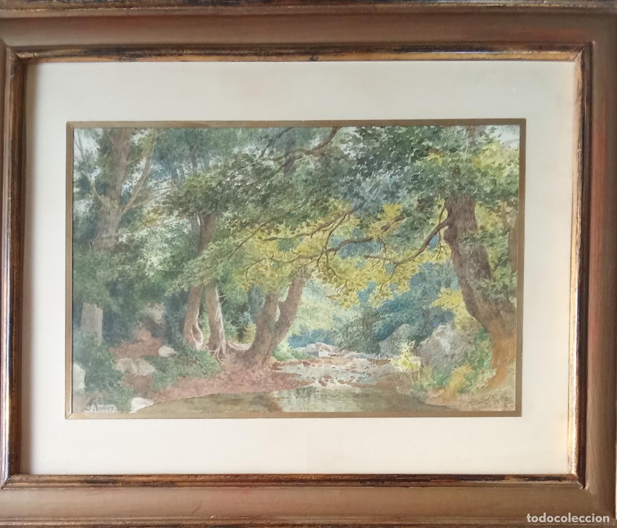Kunst: JOSEP ARMET I PORTANELL - BOSQUE-