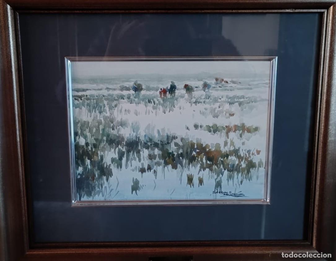 Arte: Acuarela S&aacute;nchis Cort&eacute;s - Foto 1