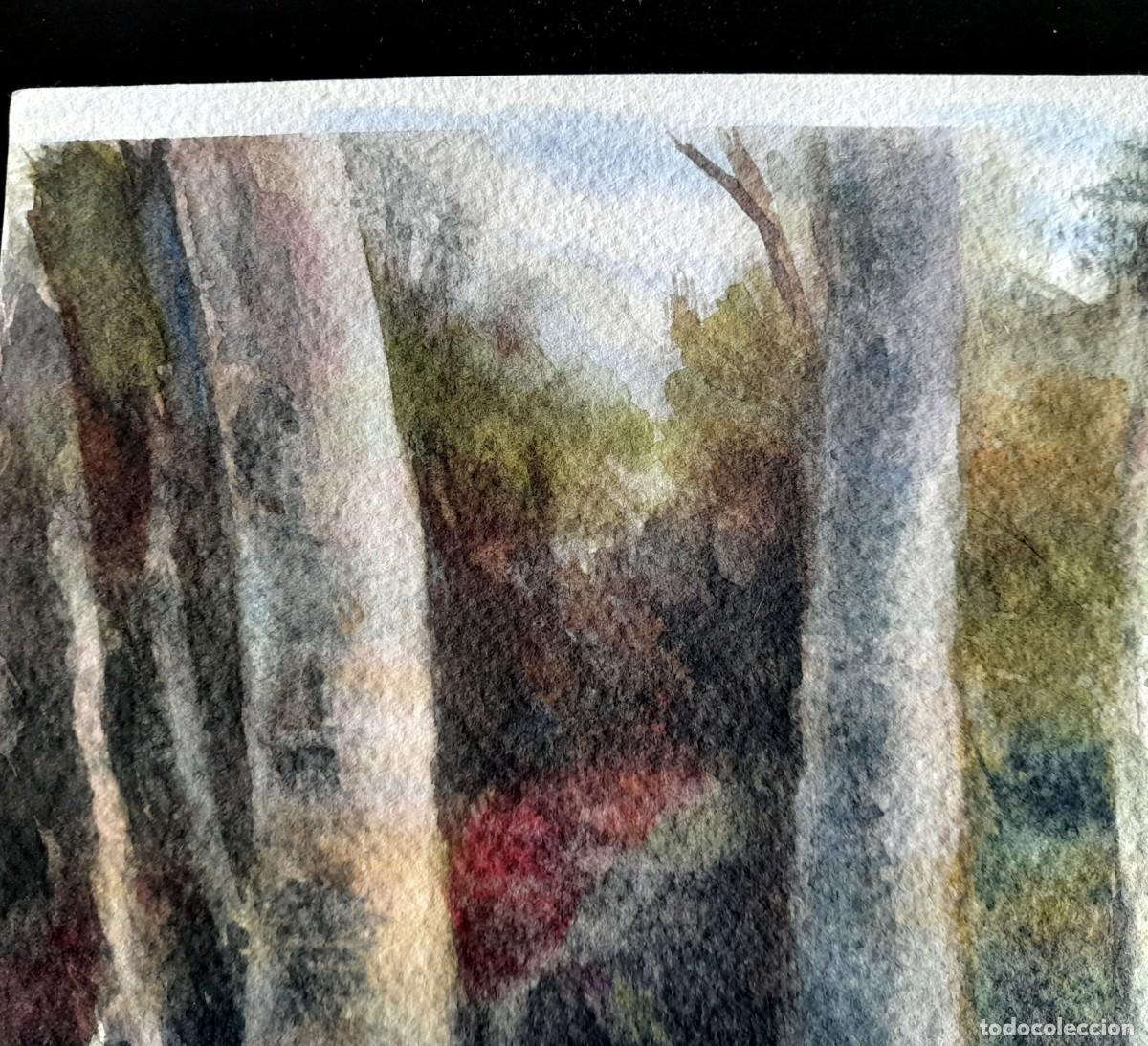 Arte: ACUARELA ORIGINAL BOSQUE - Foto 3