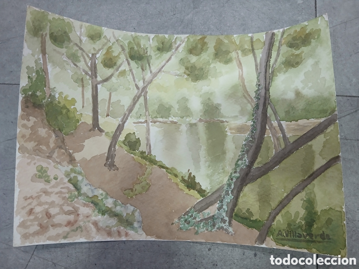 Kunst: Antonia Villaverde Pumar. Carballo. Acuarela. Arte gallego. (L98)