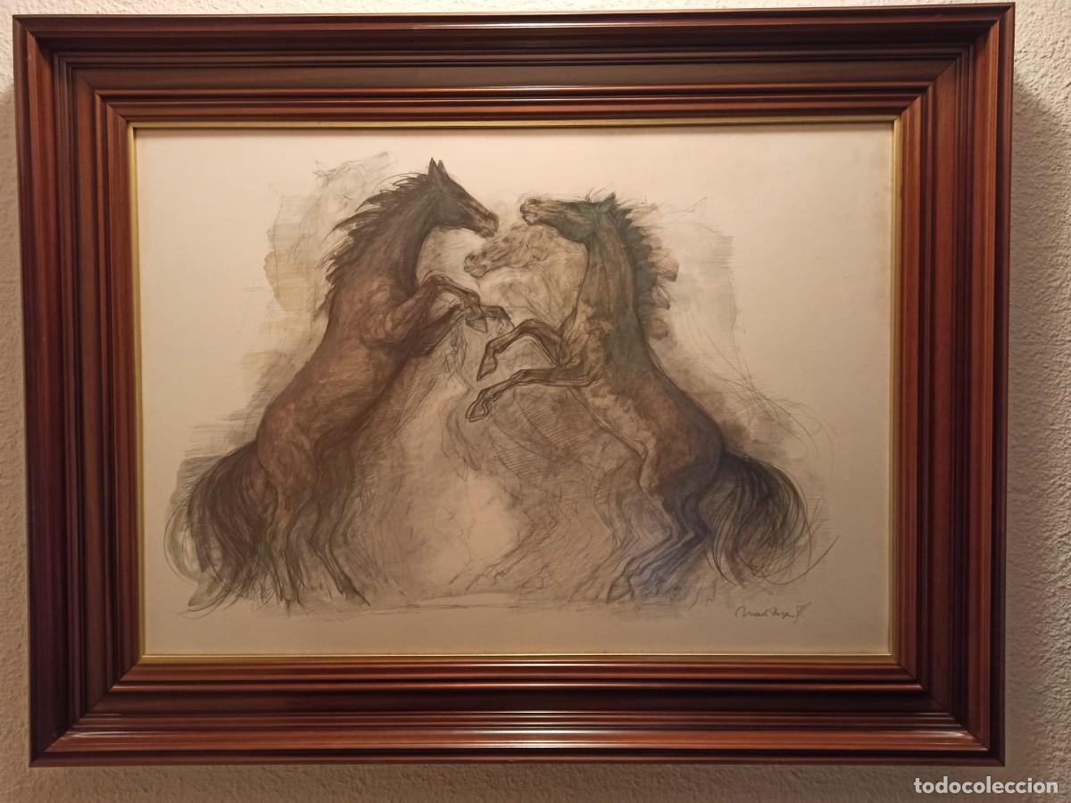 Art: CUADRO PELEA DE CABALLOS ACUARELA MEDIDAS MARCO LARGO 105 ANCHO 80 PINTURA 84 X 59 CENTIMRETOS